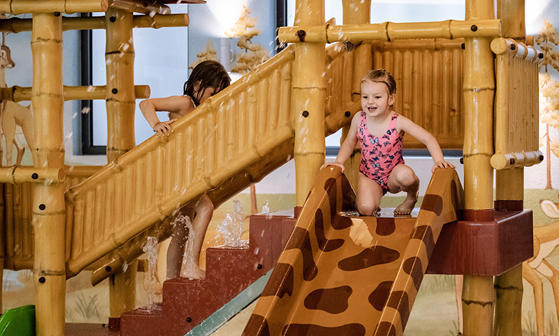 i cavali dell'Hotel Alpholiday hotel per le vacanze delle famiglie con bambini in trentino