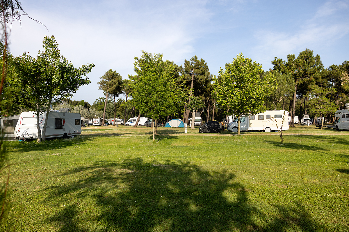 i bungalows del camping village classe di lido di dante (RA) per le vacanze delle famiglie con bambini in romagna in campeggio nella natura