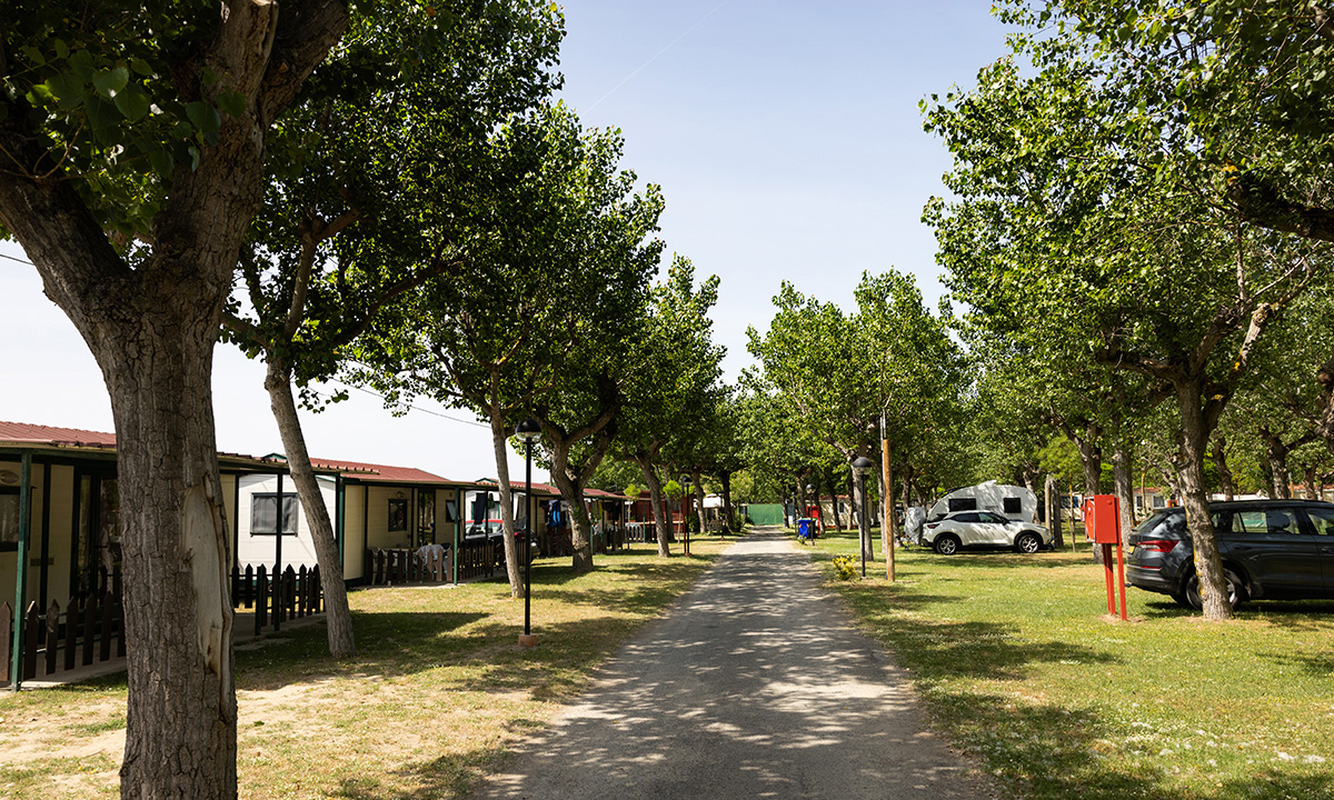 i bungalows del camping village classe di lido di dante (RA) per le vacanze delle famiglie con bambini in romagna in campeggio nella natura