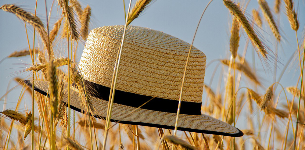 foto cappello in mezzo a campo di grano