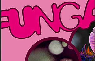 funga mostra sui funghi logo funga mostra dedicata ai funghi